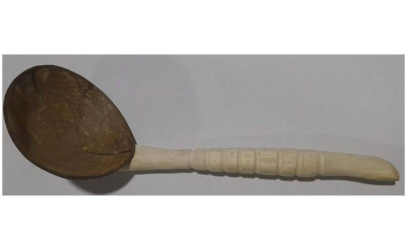 coconut shell spoon