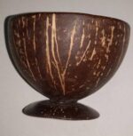 coconut shell dessert cup