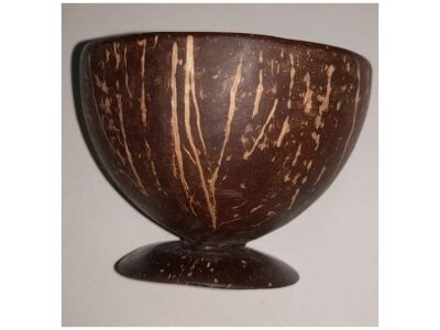 coconut shell dessert cup